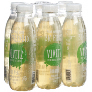 VIVITZ Tè verde freddo biologico (6x5dl)