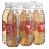 VIVITZ Bio Eistee Apfelminze (6x5dl)
